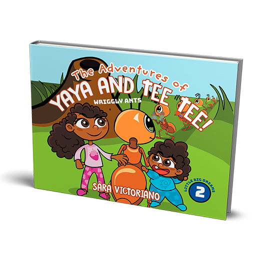 sara victoriano the adventures of yaya and tee tee big little dreams series